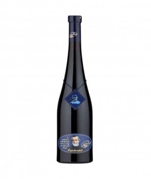 Lambrusco Giuseppe Verdi IGP 750 ml- Cantina Ceci - Ламбруско